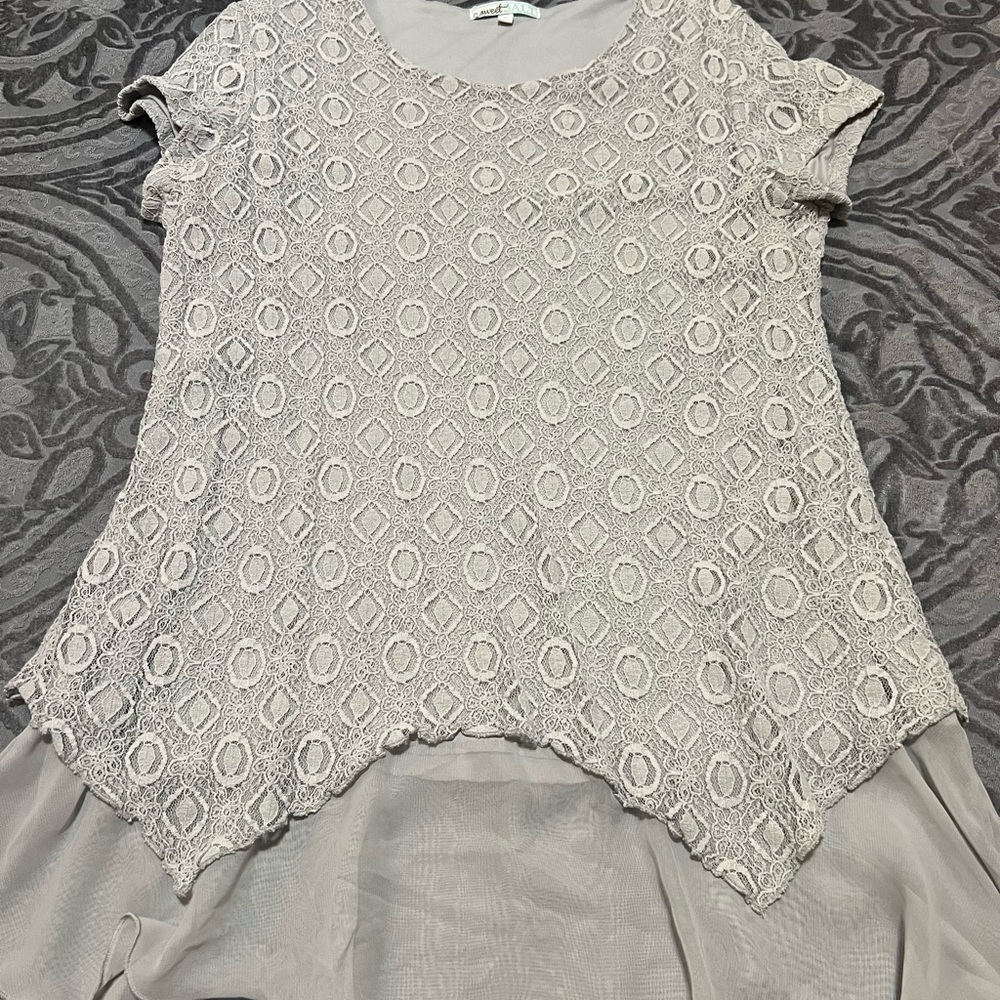 Silver Asymmetrical Flutter Sleeve Blouse